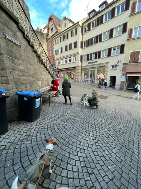 eda21acf-ceac-4bdd-9b66-e1dada277afb