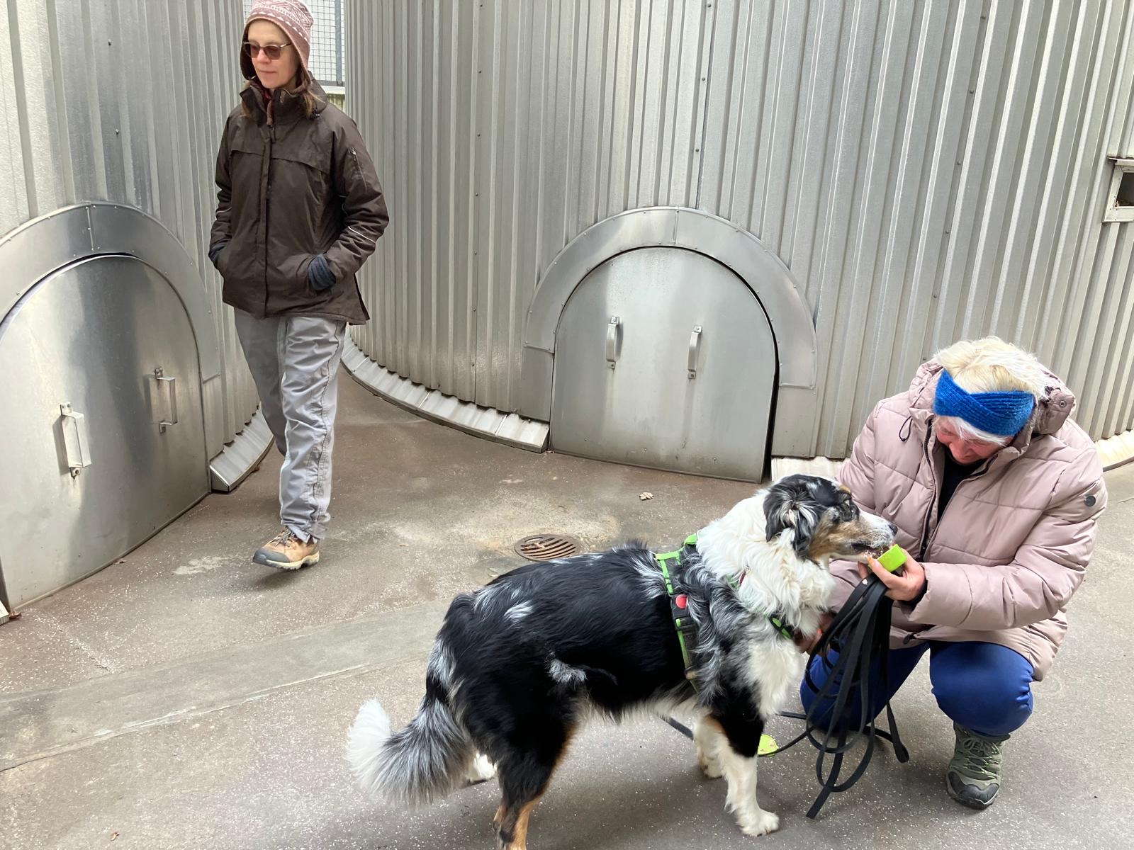 79c6deba-92d0-4fda-ab2a-3590fb94d203