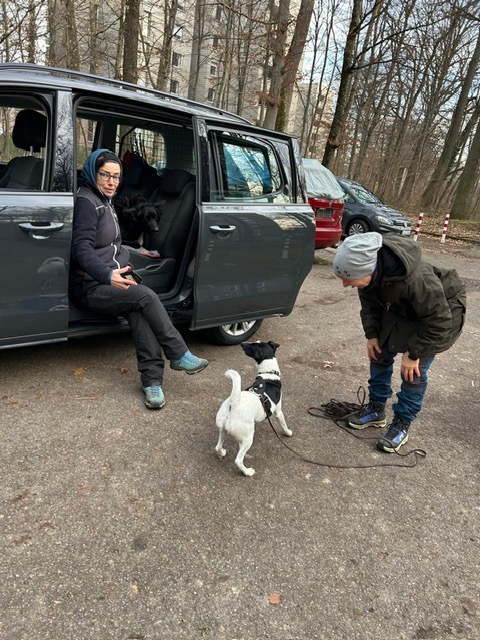 ad5f079f-057f-4029-92c0-7211e36894c8