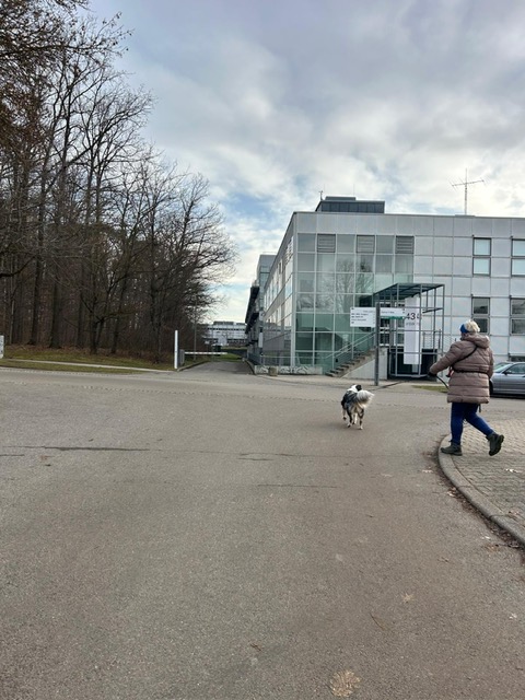 b39022f3-9a60-41e6-8e6e-f20d4a615660