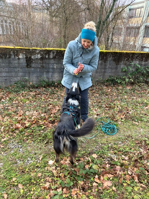 ba1ed23f-dfa3-4027-b121-10c6854fee6c