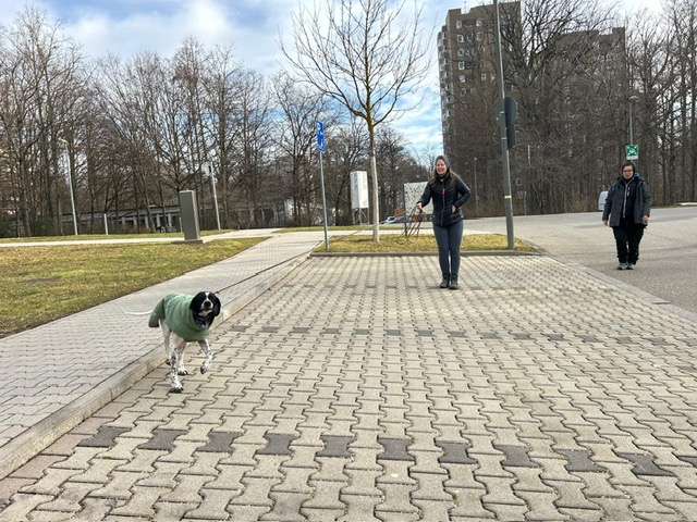 ba755f02-383f-4bf5-9e0a-722d52271328