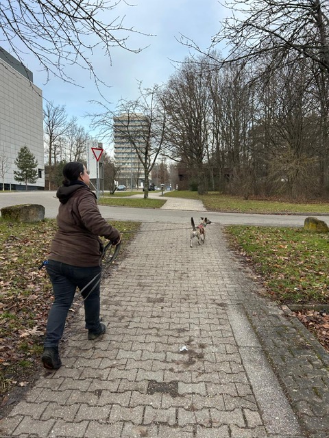 f694093b-60e9-470a-9d4a-7126c548e2d8