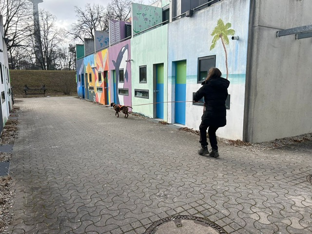 5615506B-309C-47F9-B45E-8162EE153C96