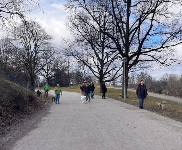 5fbbe6e0-1bd6-4e34-935f-1dcf4cf4315f