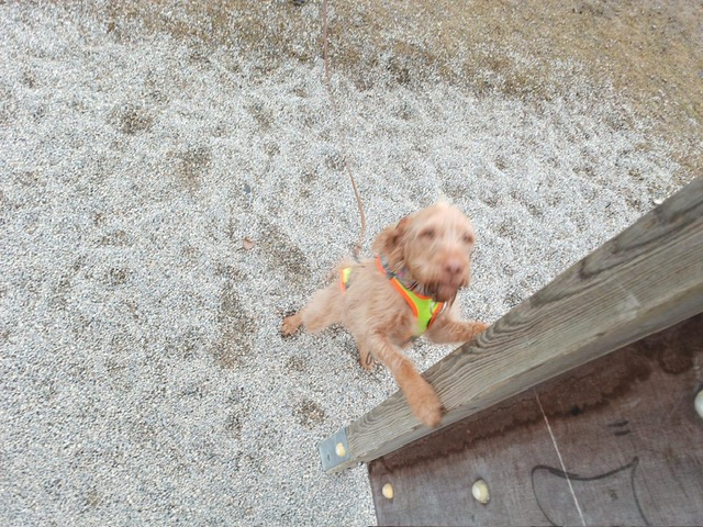 74b1cde1-8b2c-40b1-83fb-0a3974040d78