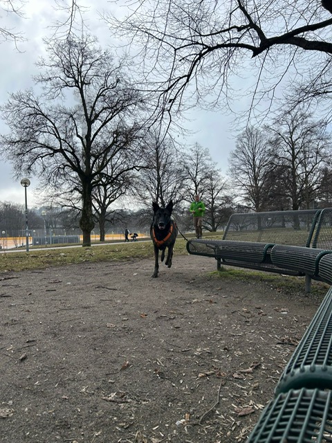 D20D117D-50A6-4B6F-A5BB-AC4ACB11F504