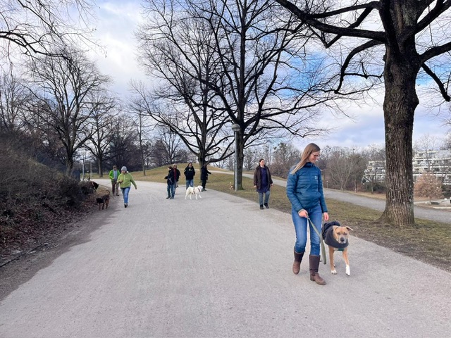 b82cea05-982d-4231-b433-fa334d6efc3c