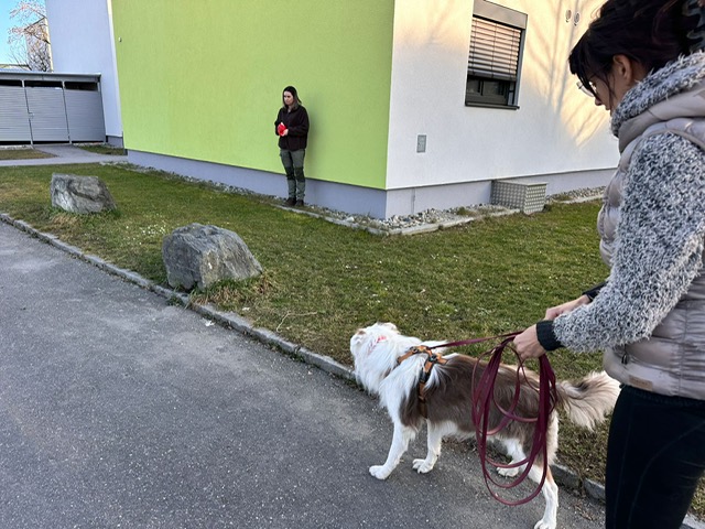 1862adda-e476-4f70-9e4b-d8fa7e518835