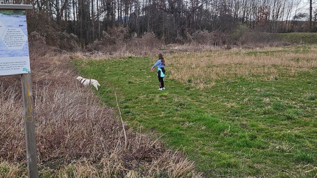 f181273d-ff4f-4d5b-bc20-6d91d5646369