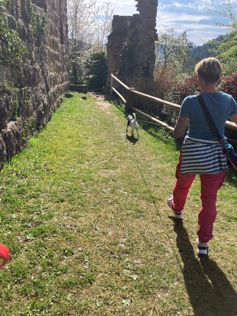 336cef85-5937-4c87-b350-52e650ebb6c3