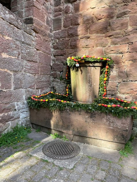 84b495e2-2cca-4c15-b519-e031a4edf54e