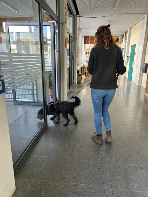 98664397-3e2f-4482-8cf3-2078f0a33d17